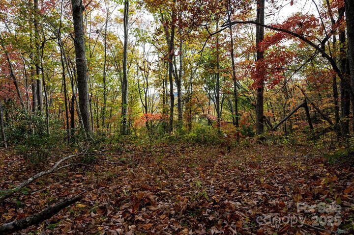 Property Photo: 4B Lower Flat Creek Road NC 28711