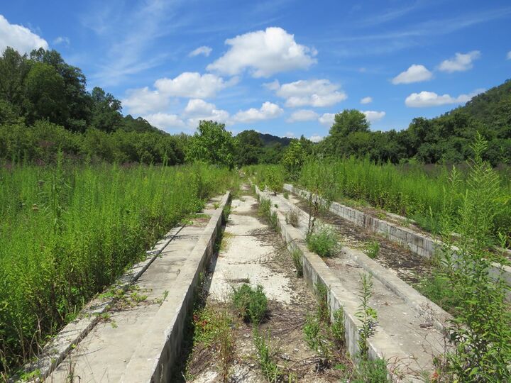 Property Photo:  00 Chestnut Road- Whitehouse  KY 41240 