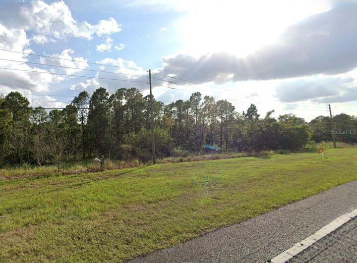 Property Photo:  US Highway 17  FL 33844 