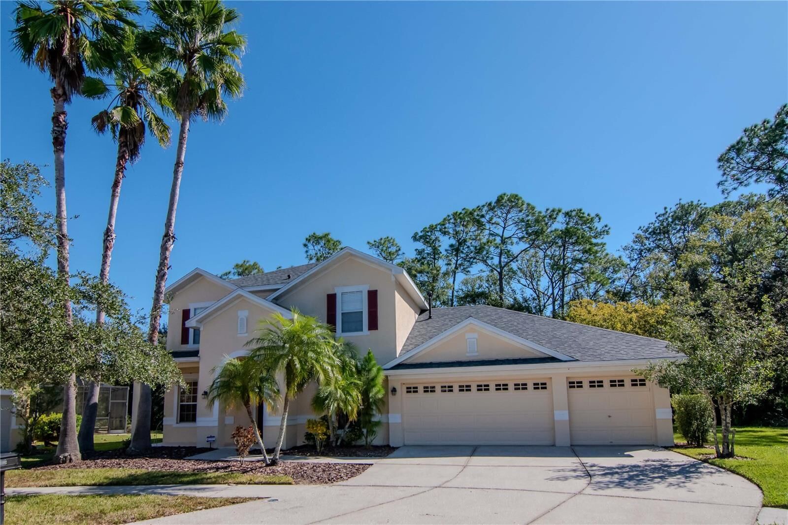 Property Photo:  16102 Colchester Palms Drive  FL 33647 