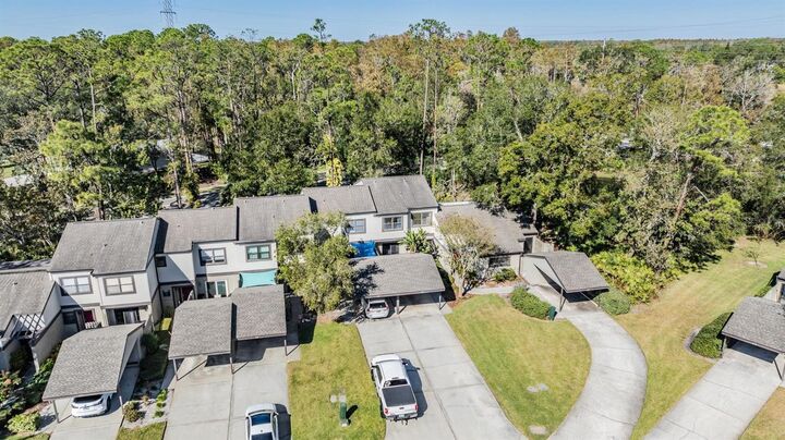 Property Photo: 215 Woods Landing Trail FL 34677