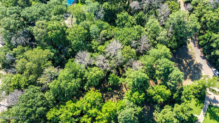 Property Photo:  0 Lakeridge Cove  MS 39056 