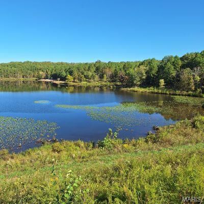 Property Photo: 4 Turkey Creek MO 63951