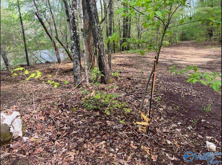 Property Photo: Lot10 Little River Landing AL 35959