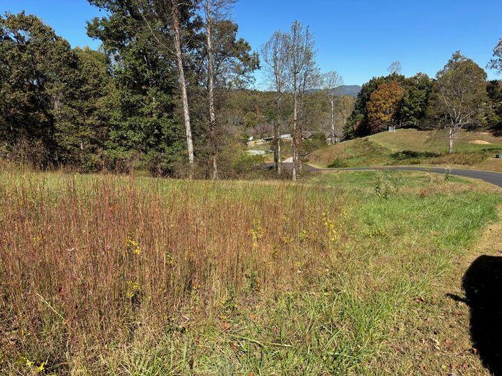 Property Photo:  L 13/14 Anns Way  GA 30512 