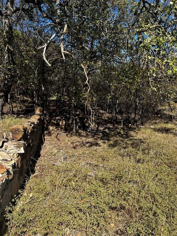 Property Photo:  Tbd NW 9th Street  TX 25702 