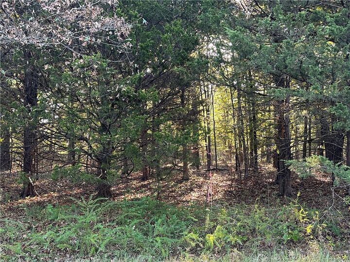 Property Photo:  001 Hand Cove Road  AR 72531 