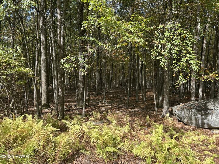 Lot 251 W Chipmunk Road  Bushkill PA 18324 photo