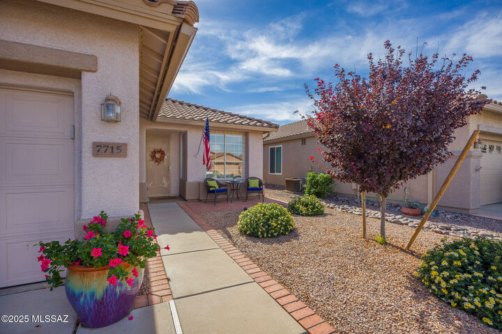 Property Photo:  7715 W Starry Night Lane  AZ 85743 