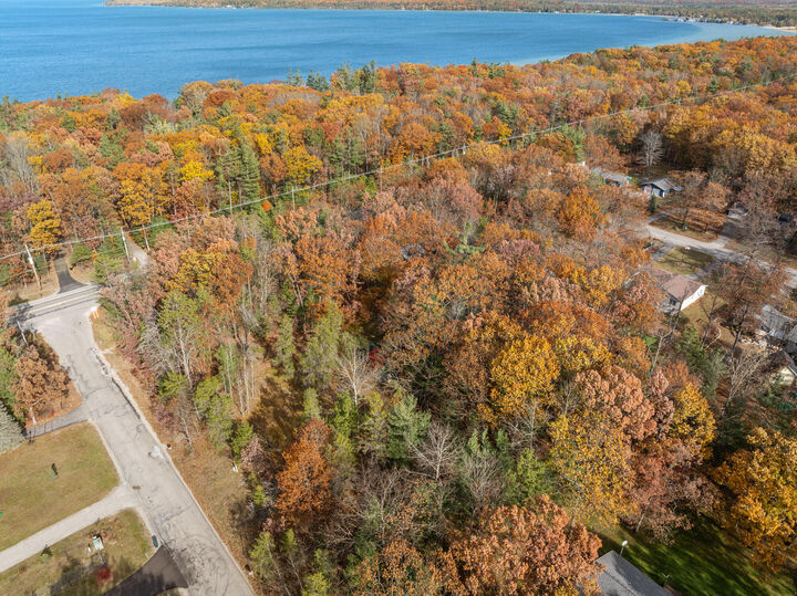 Property Photo:  4565 Forest Trail  MI 49749 