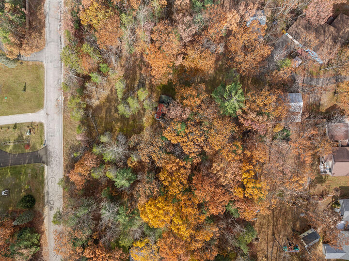 Property Photo: 4565&Amp4583 Forest Trail MI 49749