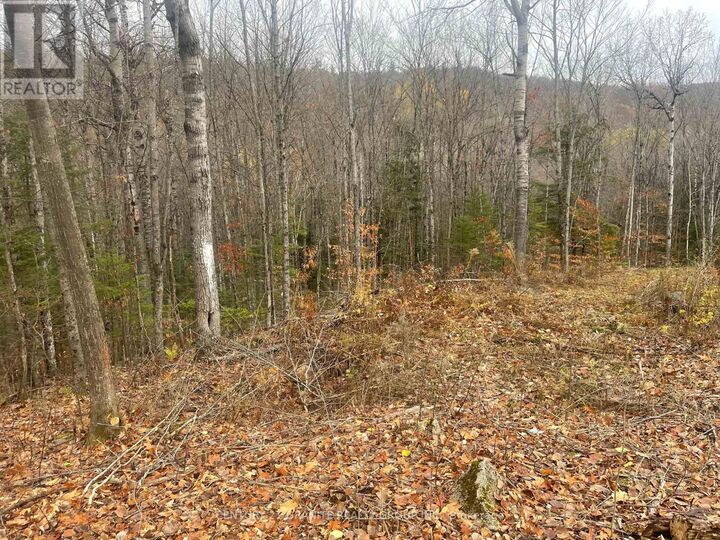 Property Photo:  0 Snow Road  ON K0L 1C0 