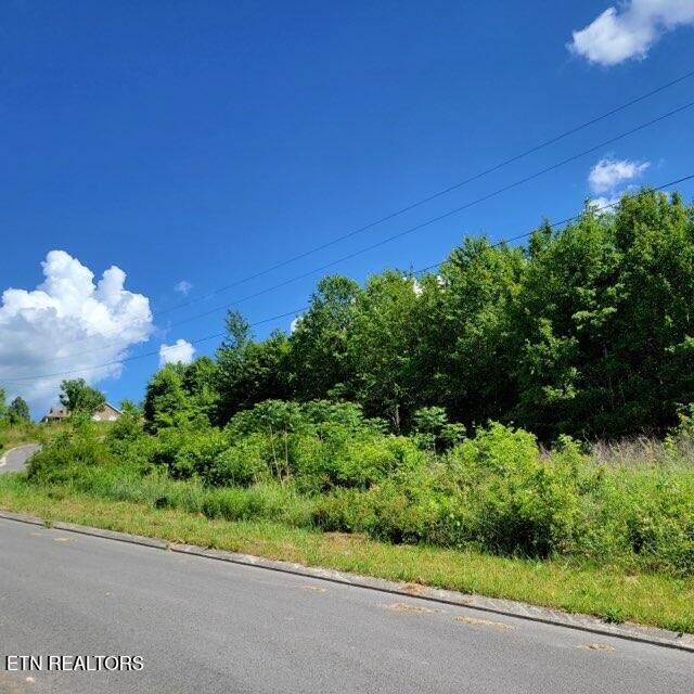 Property Photo: 0 Hardin Rd TN 37327