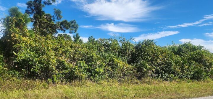 Property Photo:  6138 Carlson Street  FL 33981 