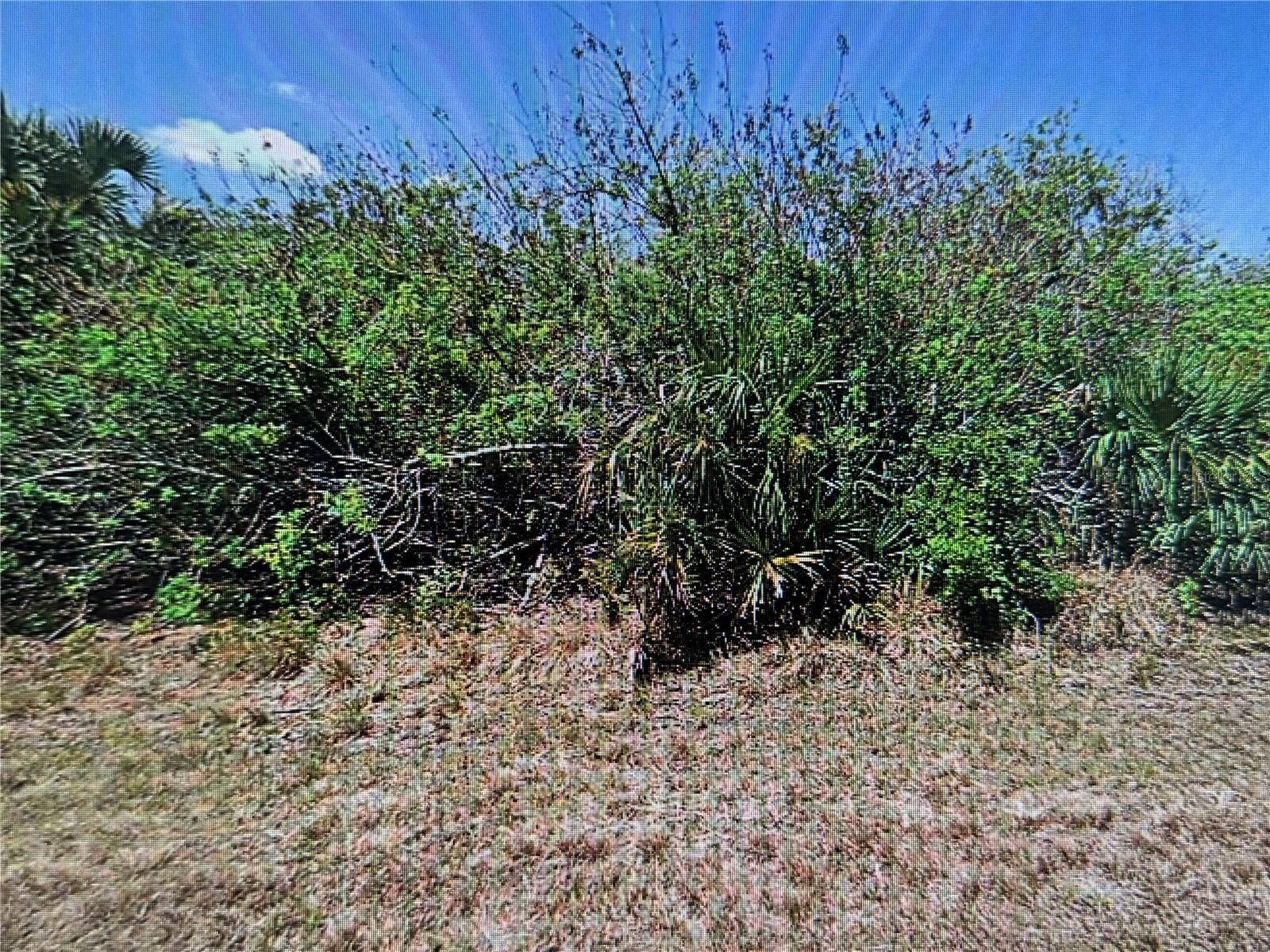 Property Photo:  343 Flynn Street  FL 33954 