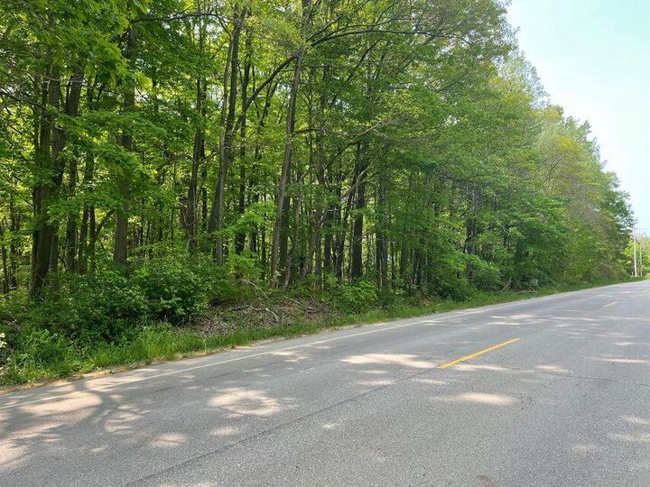 01 63rd Street  Saugatuck MI 49453 photo