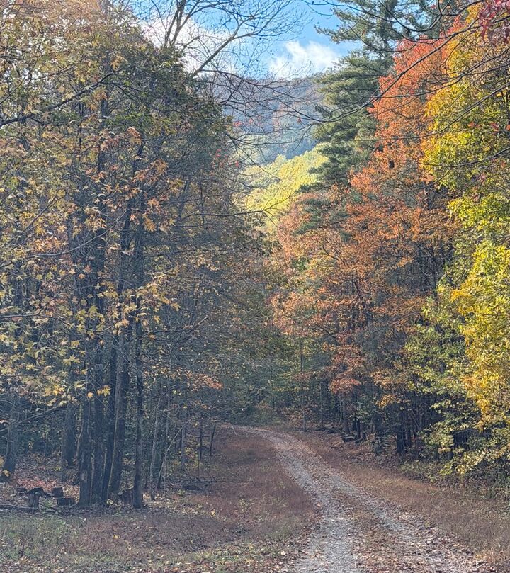 Property Photo: 47/48 Little Secret Ln NC 28906