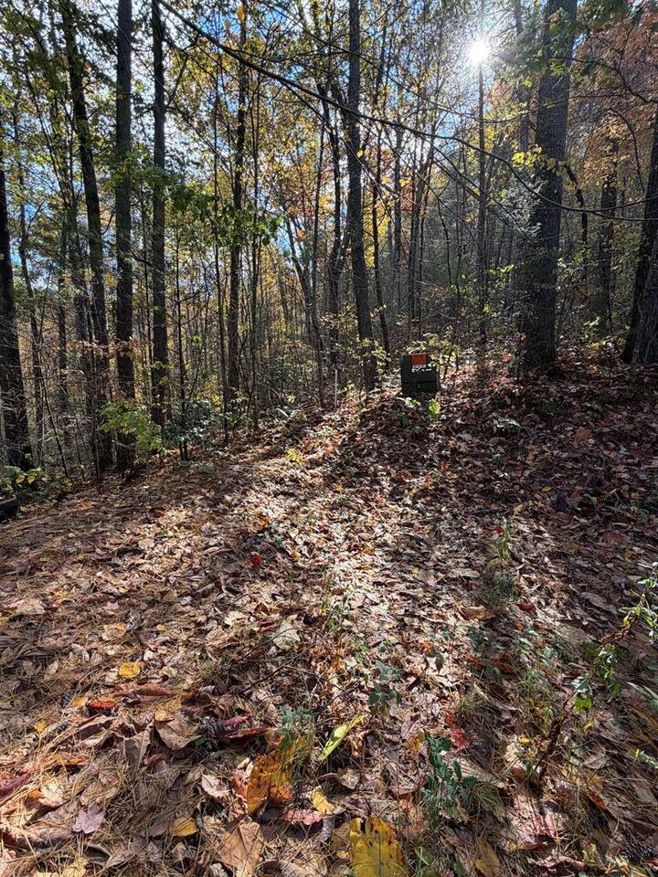 Property Photo:  47/48 Little Secret Ln  NC 28906 