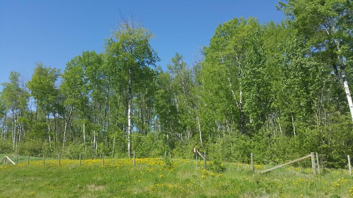 Property Photo:  Weberville Road  AB T8S 1R7 