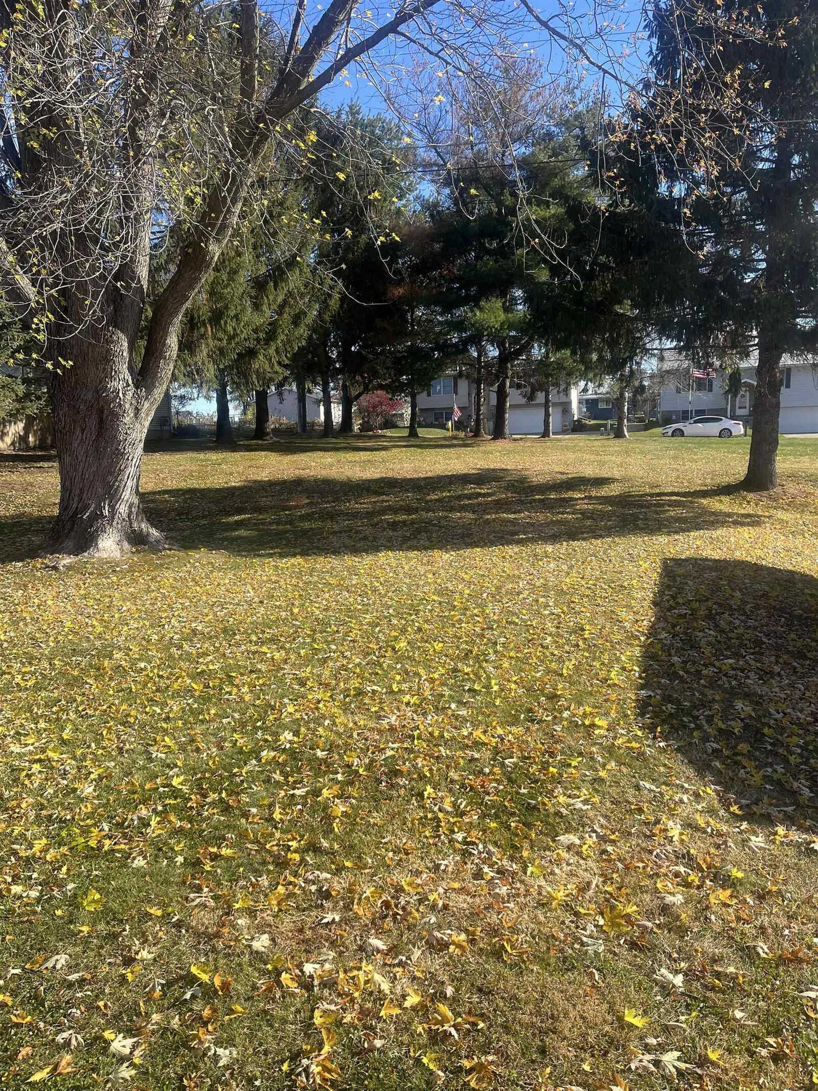 Property Photo:  Tbd Conrad Avenue  IL 61025 