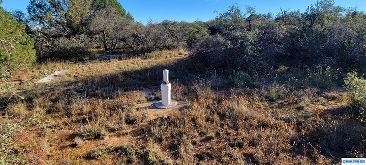 Property Photo: Lot 3A Cattlemans Trail NM 88061-0000