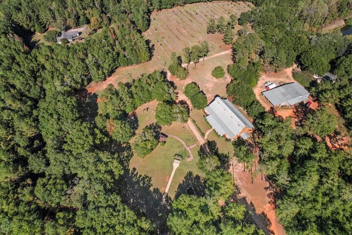 Property Photo:  10135 S County Rd 59  AL 36350 