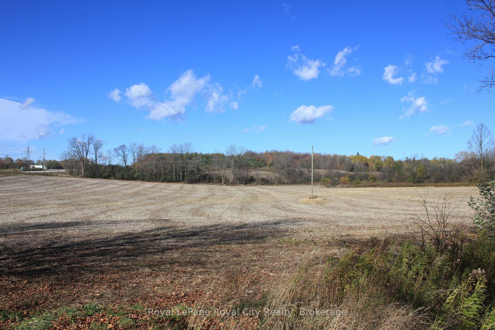 Property Photo:  4507 Concession 7 Road  ON N1H 6H9 
