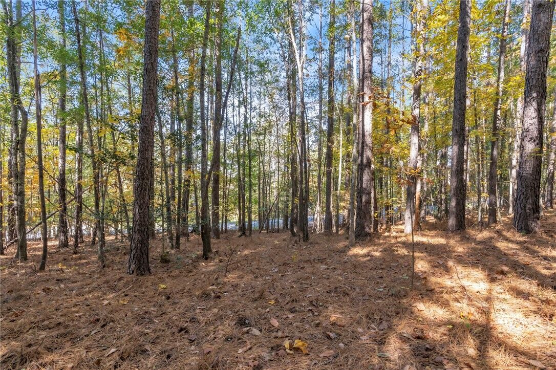 Property Photo:  Lot 202 Waterside Crossing (Shorewinds Ct)  SC 29672 