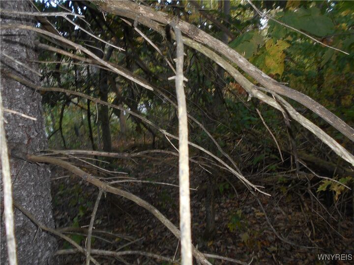 Property Photo: Irish Hill Road NY 14731