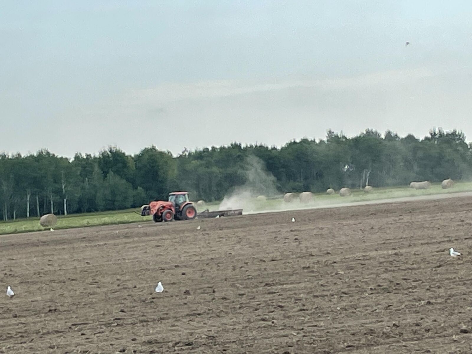 Property Photo:  000 W M-48 Hwy  MI 49774 