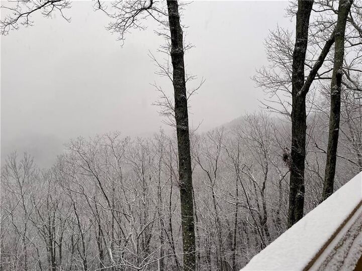 Property Photo:  375 Adair Drive  GA 30734 