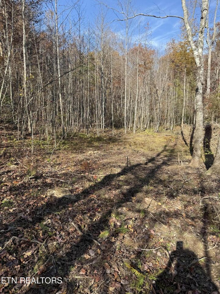 Property Photo:  608 Belmont Drive  TN 38574 