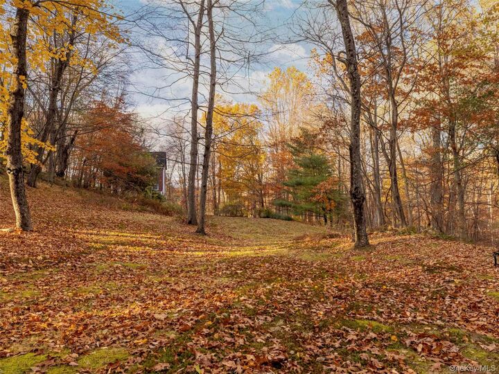 Property Photo:  216 Starbarrack Road  NY 12571 