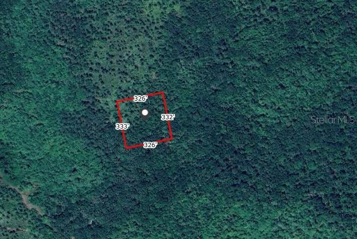 Property Photo: No Street FL 32759