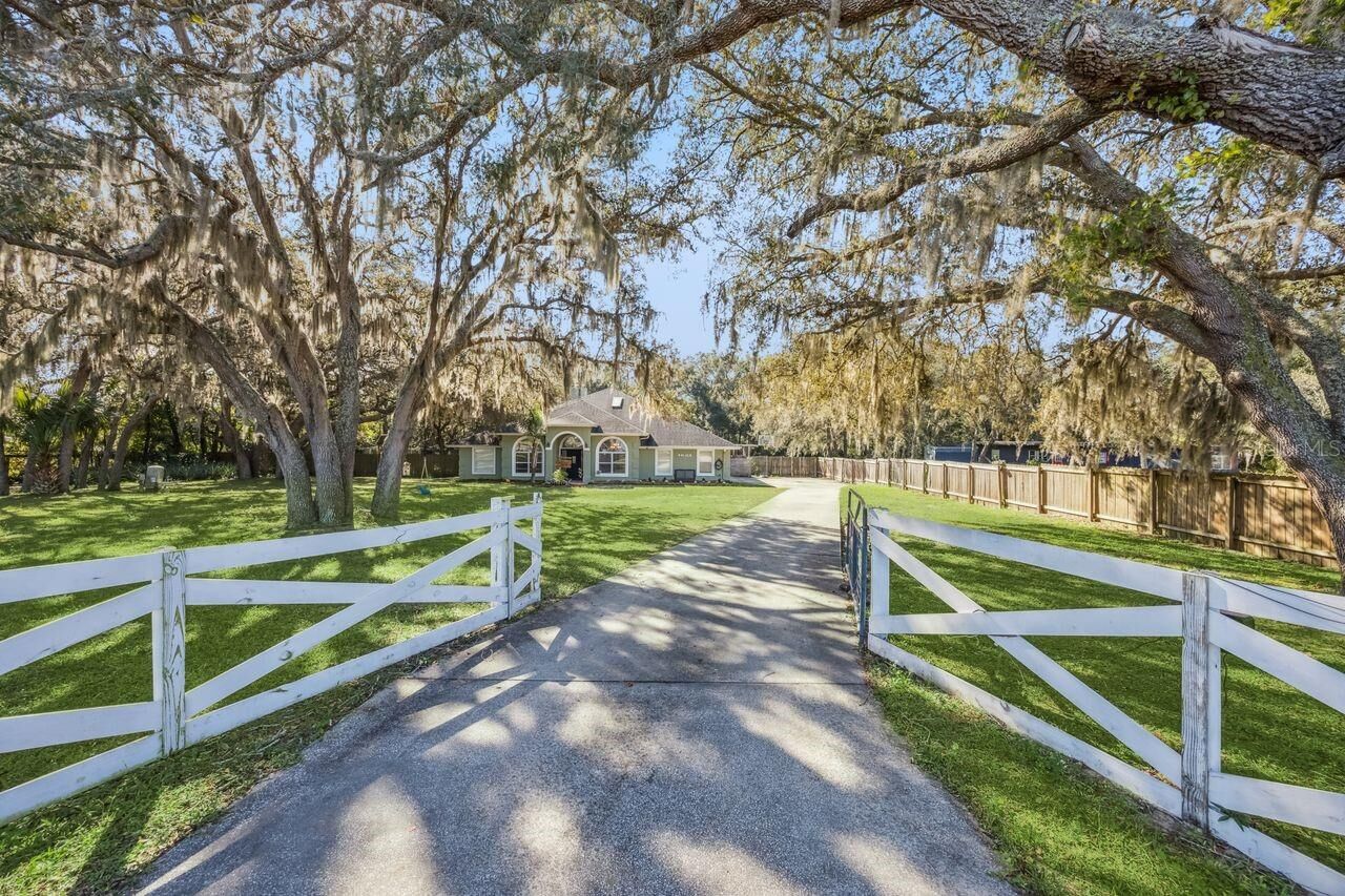 Property Photo:  23934 Wolf Branch Road  FL 32776 