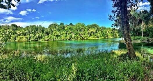 Property Photo: Lot 001 SW 207th Circle FL 34431