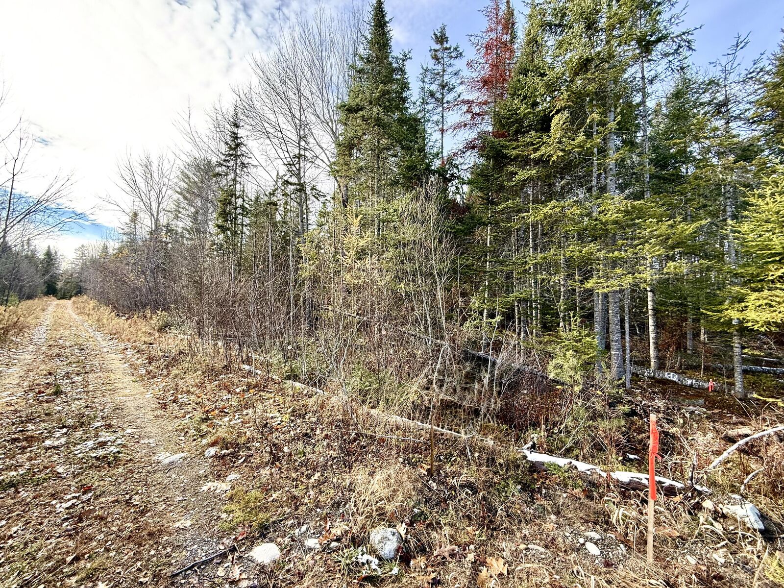 Property Photo:  14-2 Hemlock Drive  ME 04449 