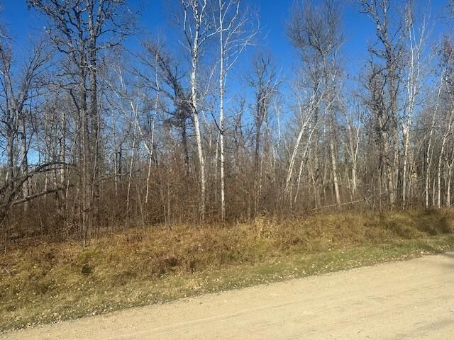 Property Photo: Tbd Crest Court NE MN 56601