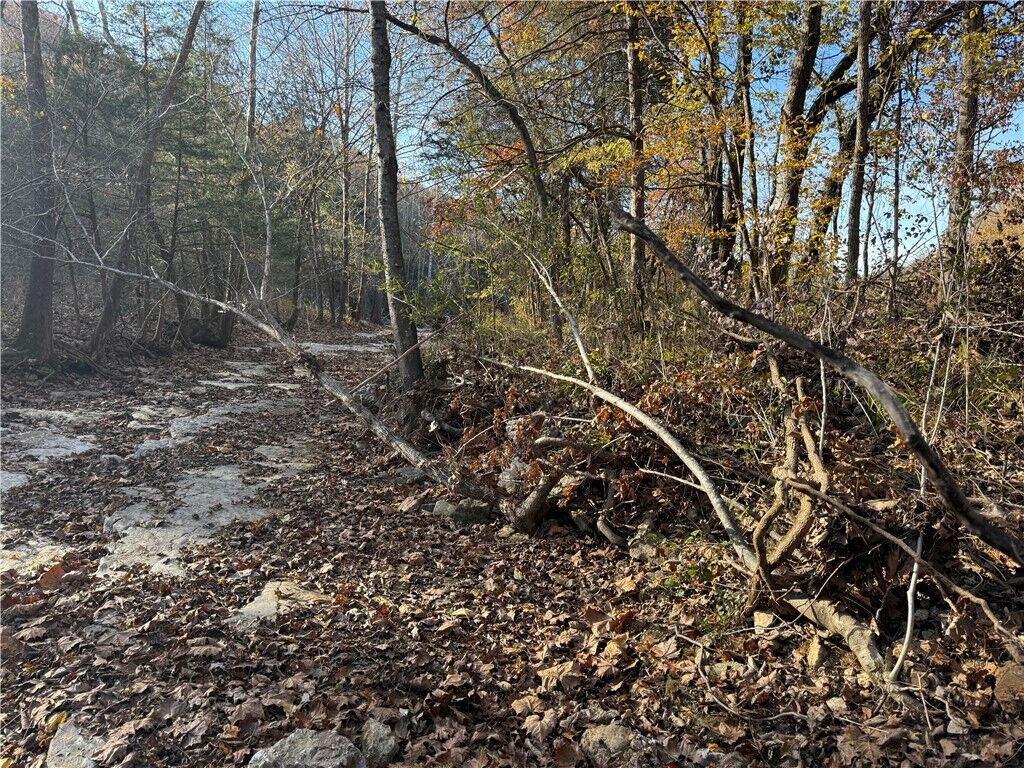 Property Photo:  Tbd Valley Drive  AR 72631 