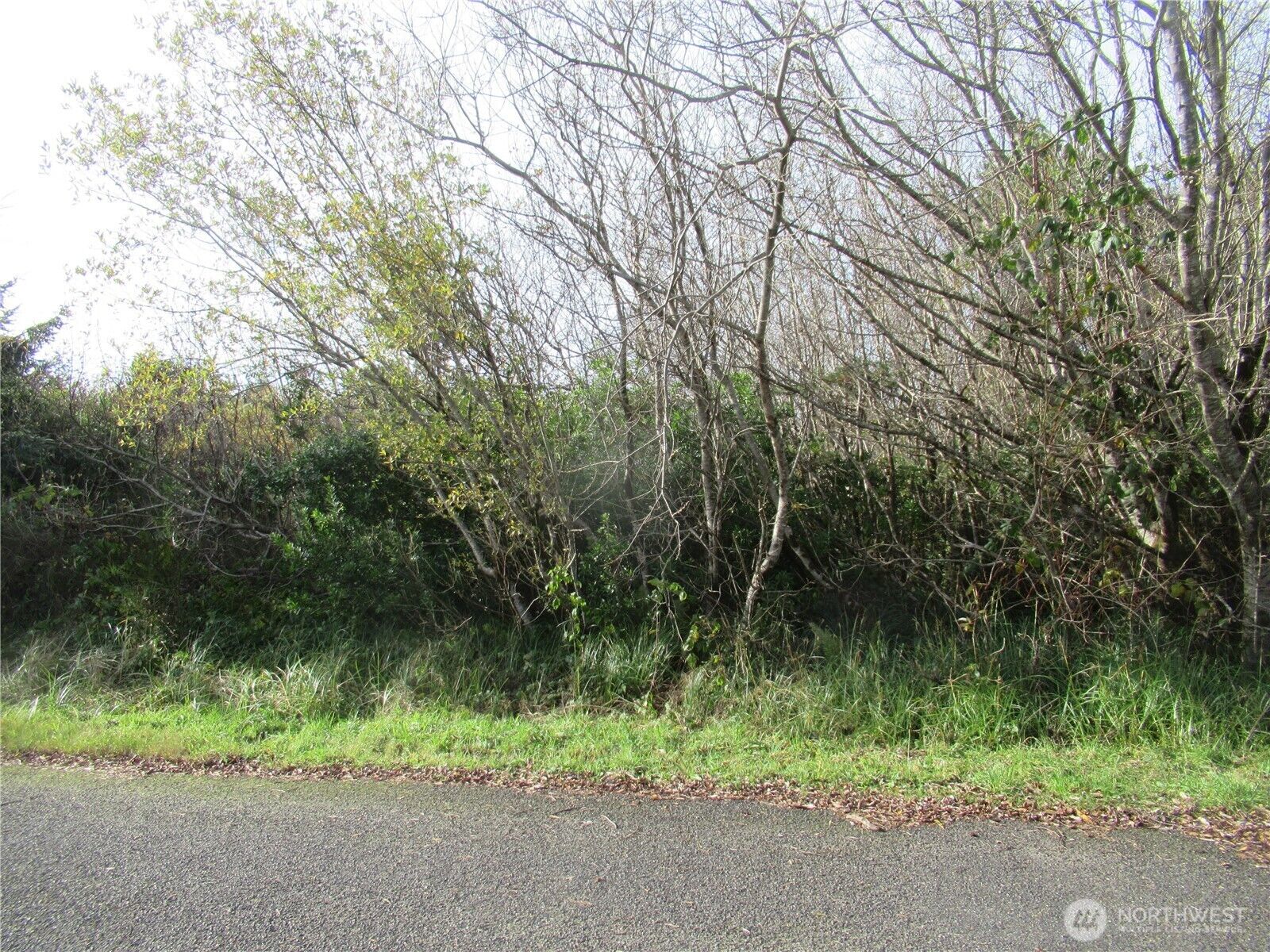 Property Photo: 12 Driftwood Drive WA 98569