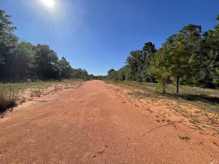 Property Photo: 13.24 Ac Willow Creek FL 32539