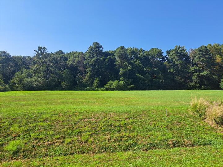 Lot 29 White Tail Lane  Melfa VA 23410 photo