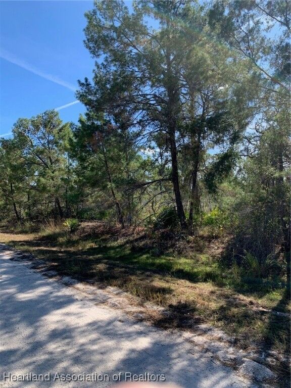 Property Photo:  1224 Cockatoo Avenue  FL 33852 