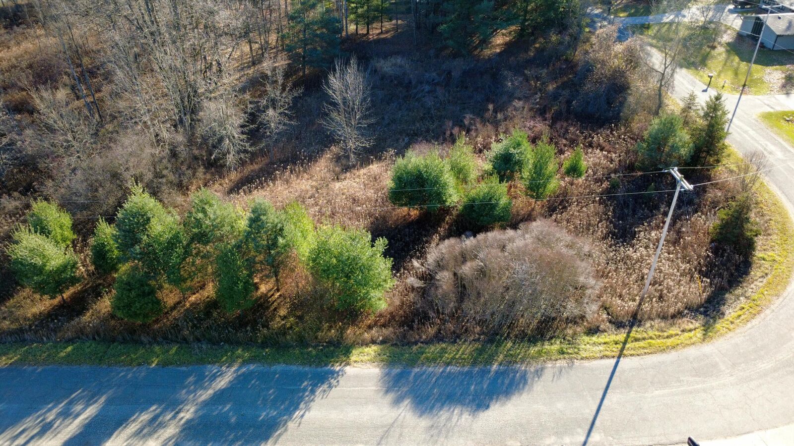 Property Photo:  Edgewood Drive  MI 49307 