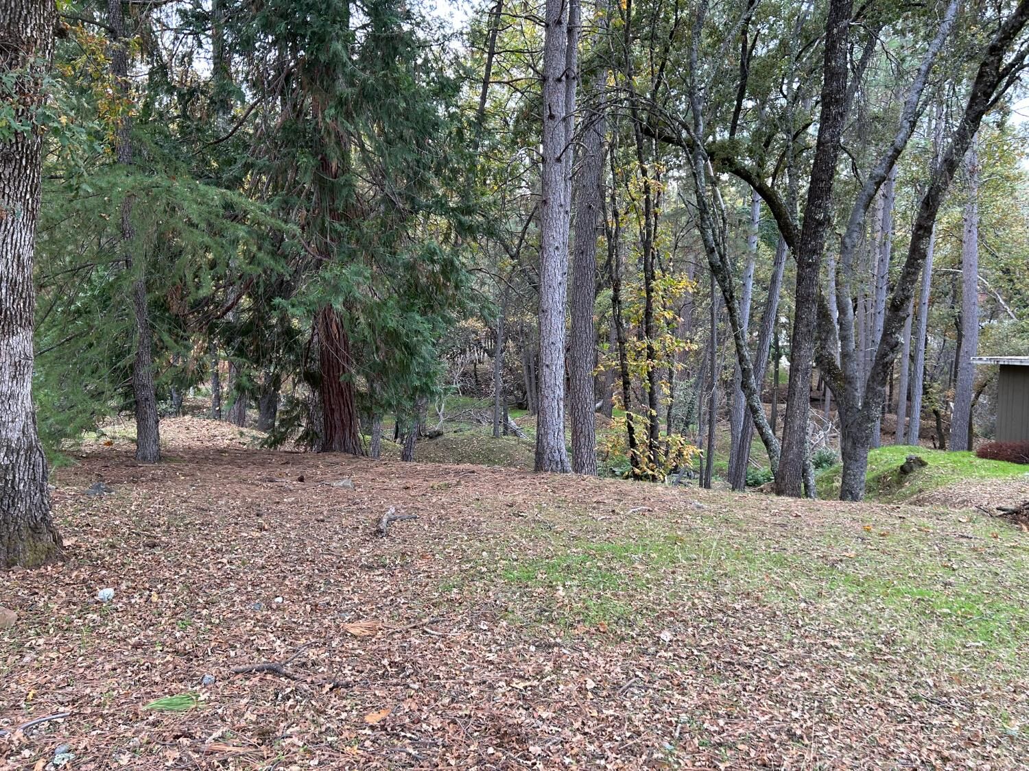 Property Photo:  12884 Golden Trout Way  CA 95946 