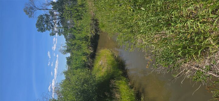 Property Photo: 2A School House Meadows MT 59843