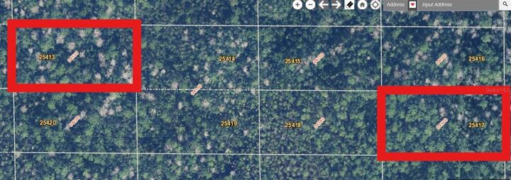 Property Photo: 00 Dill Road FL 32820