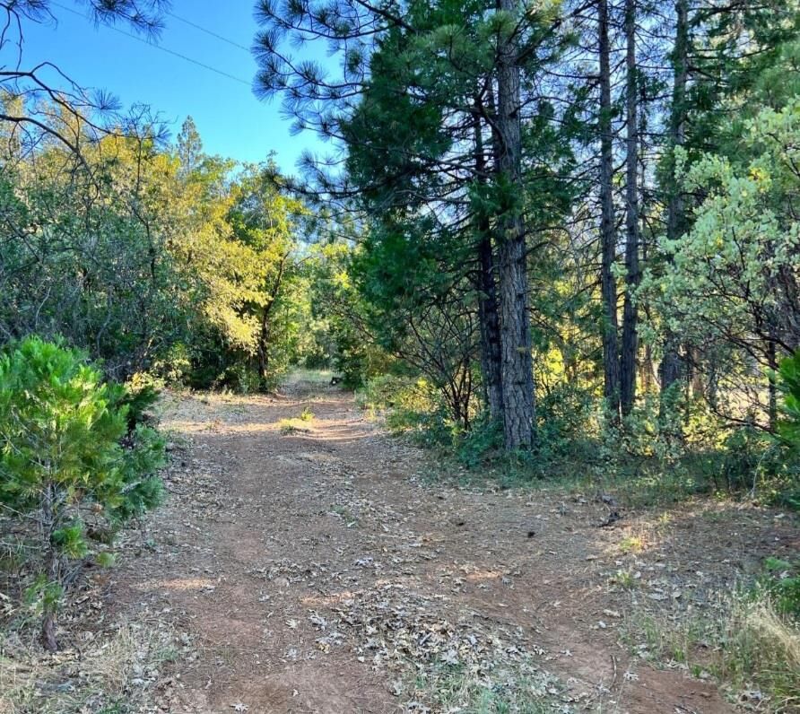 Property Photo:  8571 Daken Circle  CA 95919 