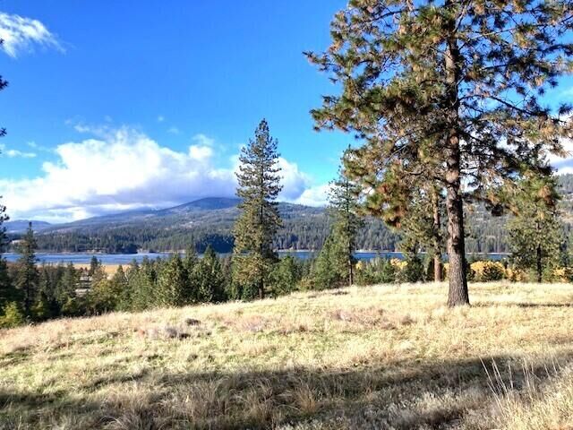 Property Photo: 1353 Lake Roosevelt Way WA 99141