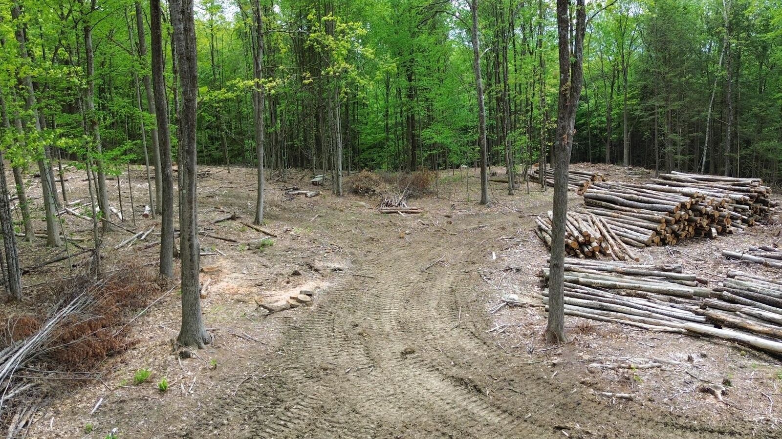 Property Photo:  Lot 26-1 Plain Road  NH 03451 